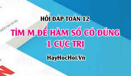 Tìm m để hàm số có đúng 1 cực trị, cực trị là cực tiểu, cực trị là cực đại? Toán lớp 12 - Hỏi đáp